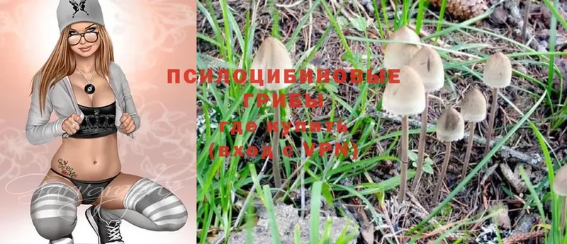 Псилоцибиновые грибы MAGIC MUSHROOMS  где купить   Звенигород 